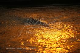 Image du Maroc Professionnelle de  Un magnifique coucher de soleil sur la plage de Souiria Lekdima à 30 Km au sud de Safi, dans cette splendide région du Maroc sur l'océan atlantique. De nombreux européens profitent des joies de la mer sur cette plage un peu désertée par les marocains, le 17 Août 2003. (Photo / Abdeljalil Bounhar) 